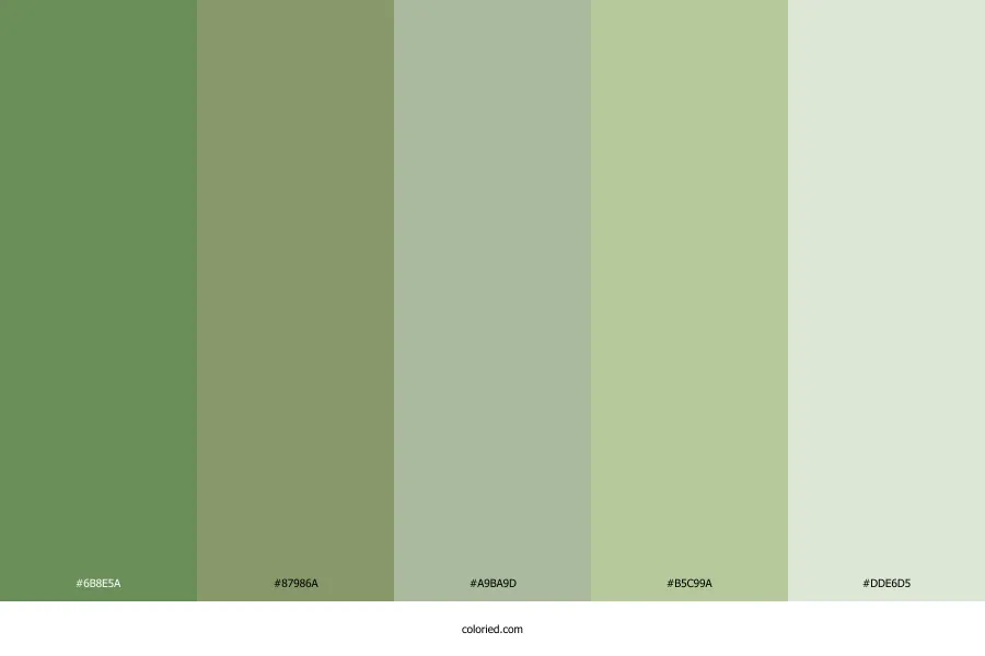 Green Tea Green Color Palette