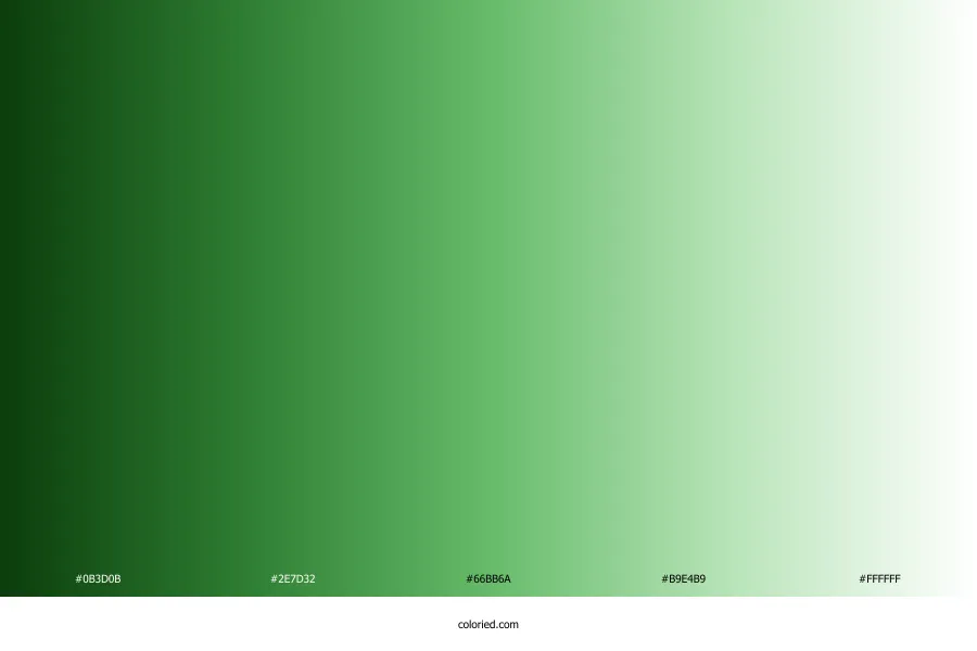 Green to White Gradient