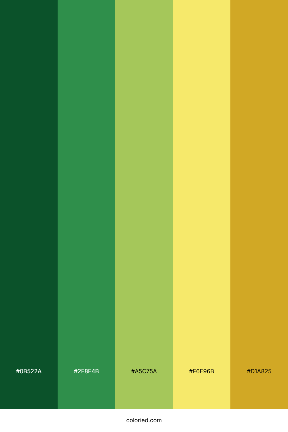 Green to Yellow Color Palette