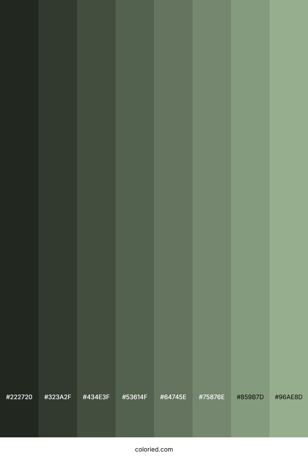 Greenish Grey Color Shades