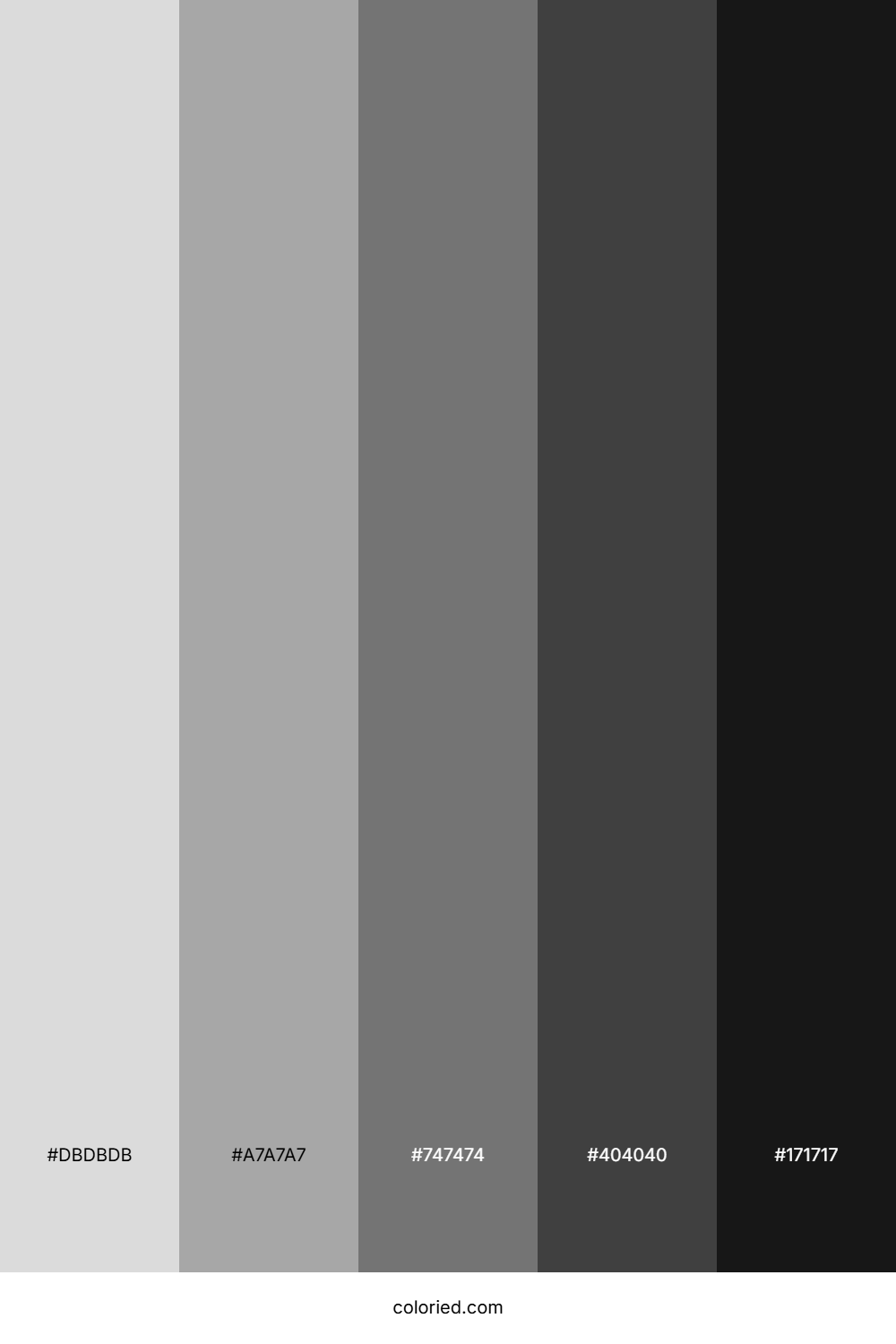 Grey and Black Gradient Color Palette