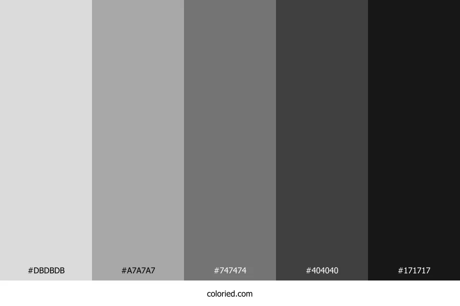 Grey and Black Gradient Color Palette