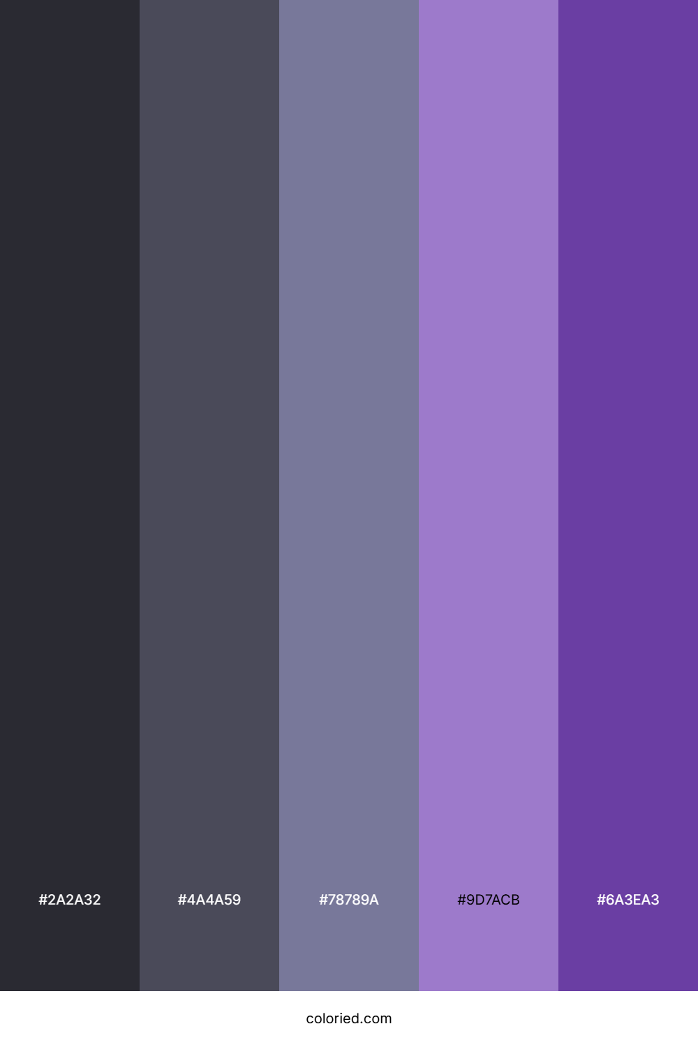 Grey and Purple Color Palette