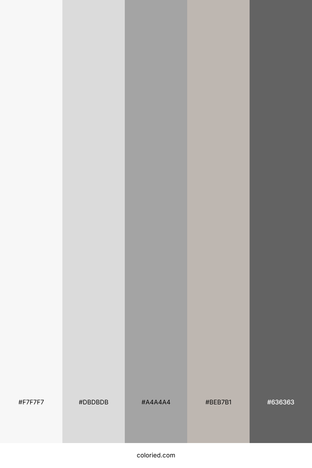Grey and White Color Palette