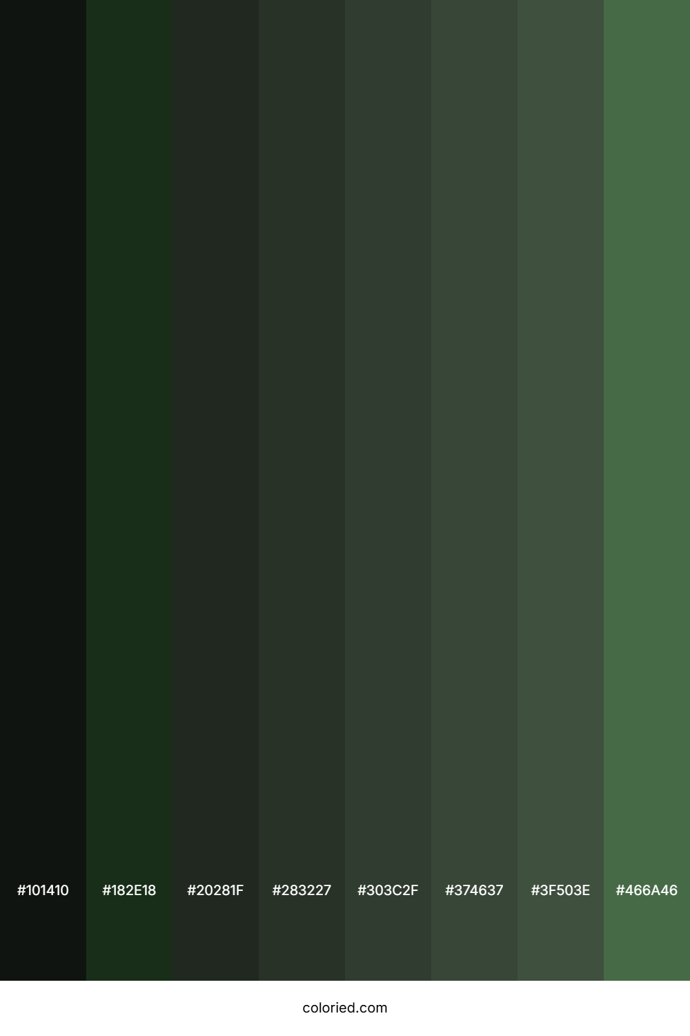 Grey Asparagus Color Shades