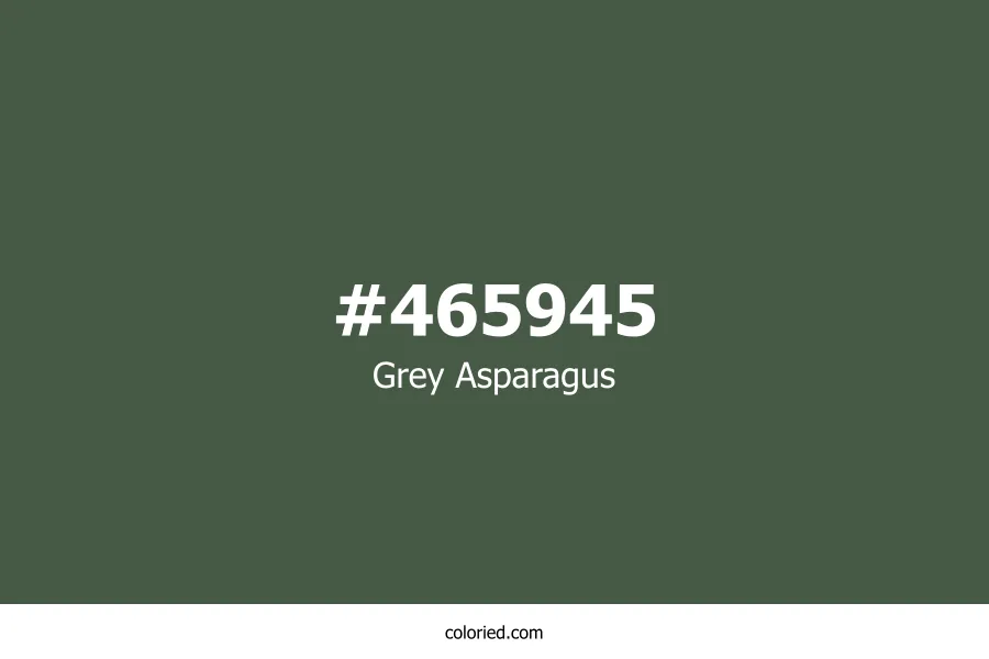Grey Asparagus Color