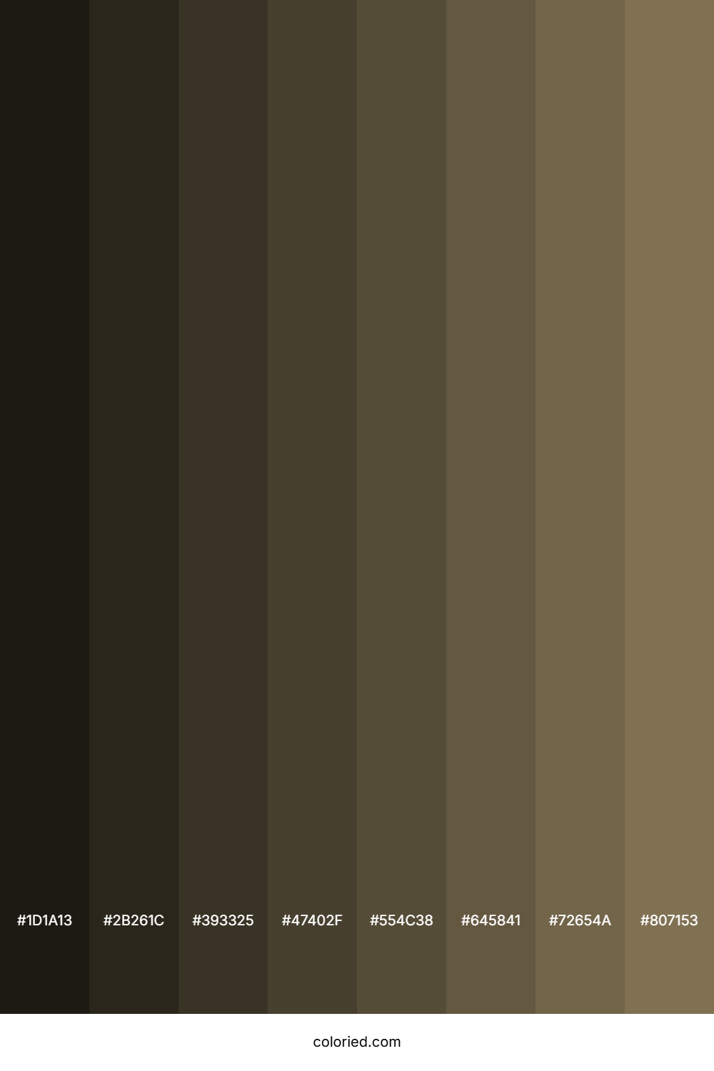 Grey Brown Color Shades