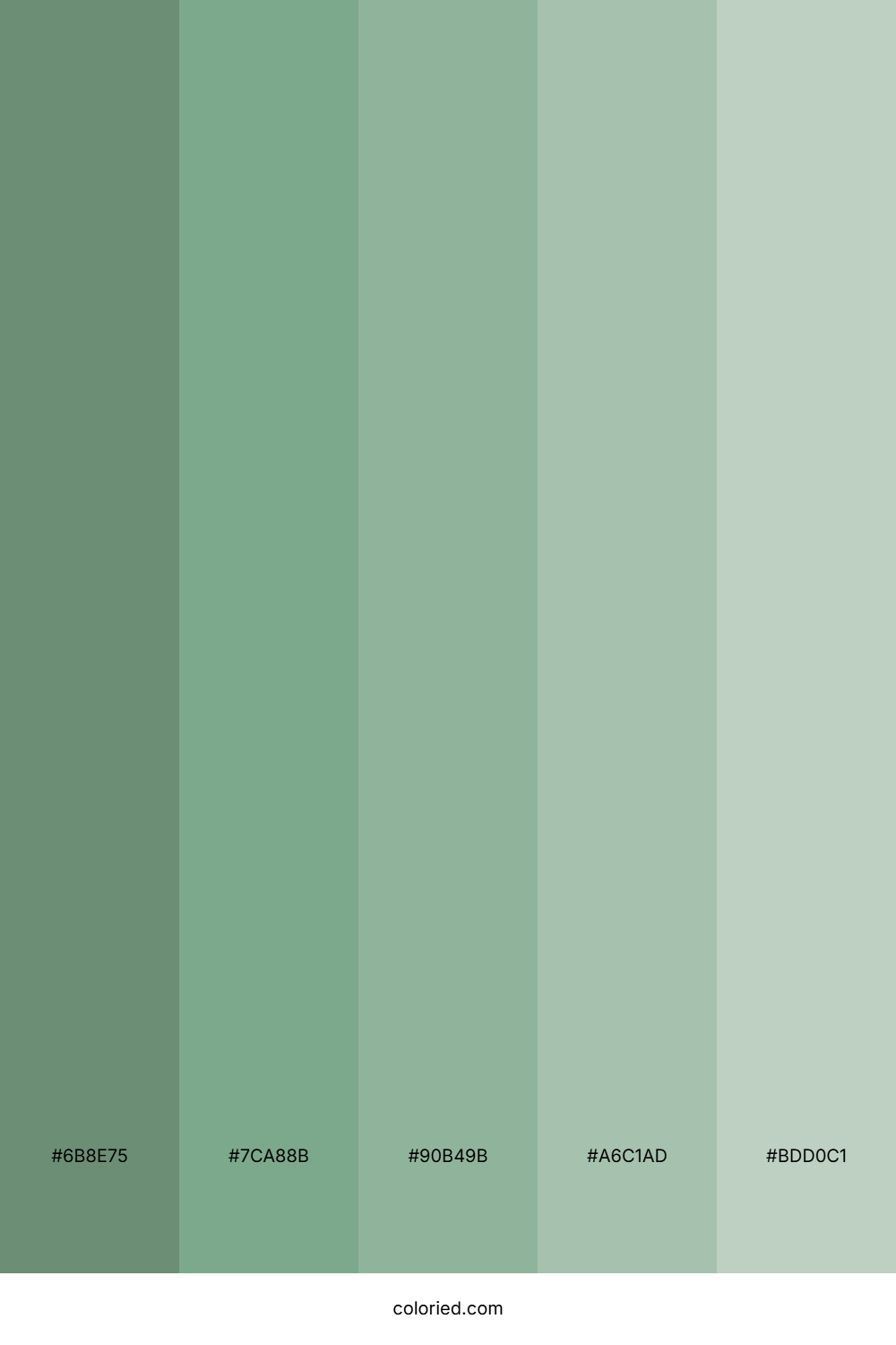 Grey Green Color Palette