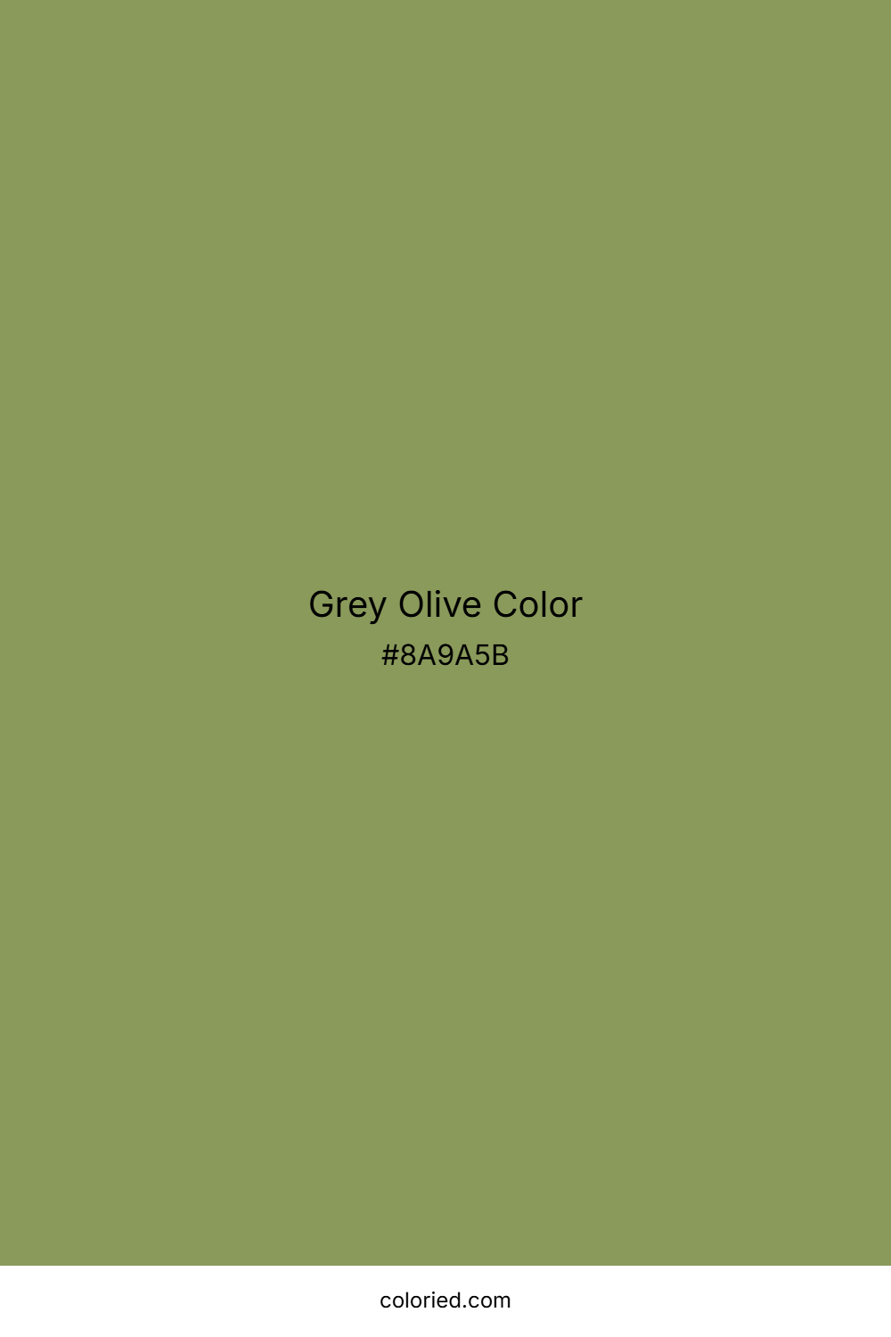 Grey Olive Color