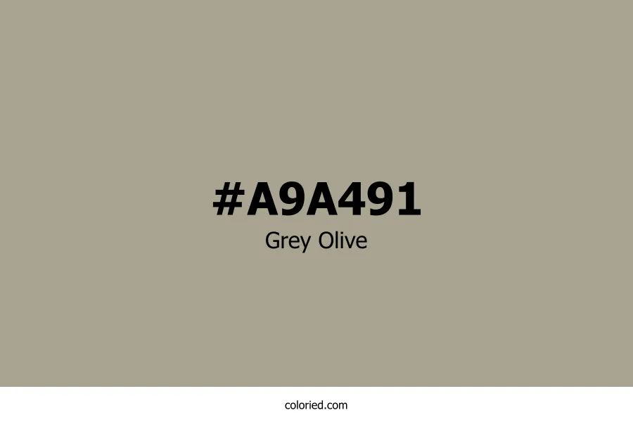 Grey Olive Color