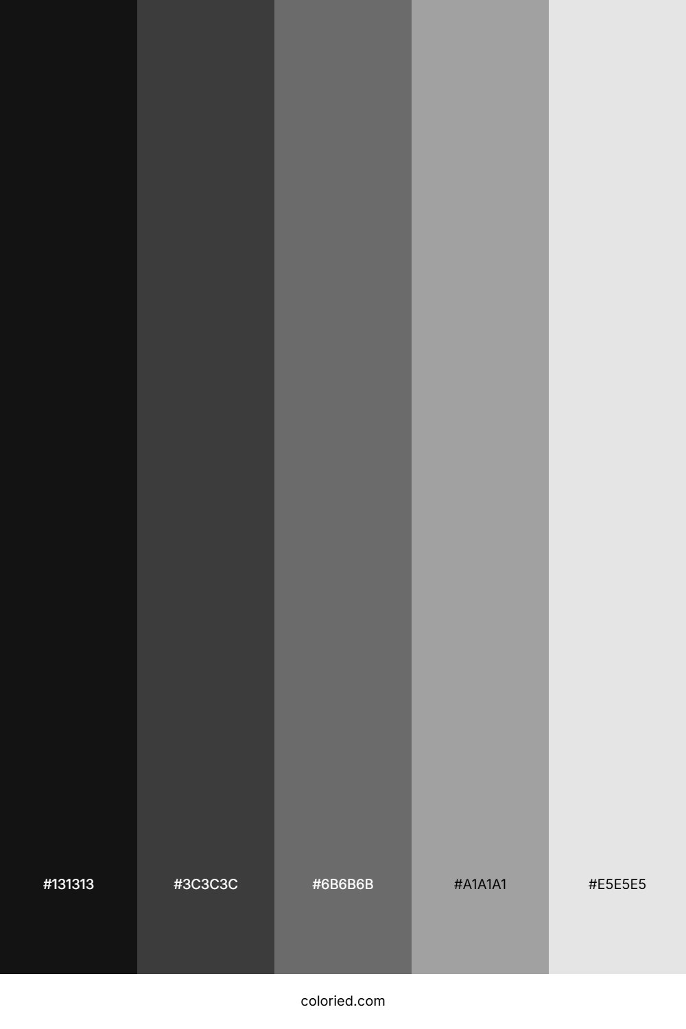 Grey Scale Color Palette