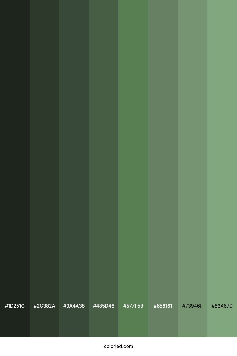 Greyish Green Shades