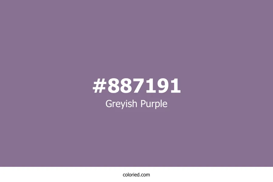 Greyish Purple Color