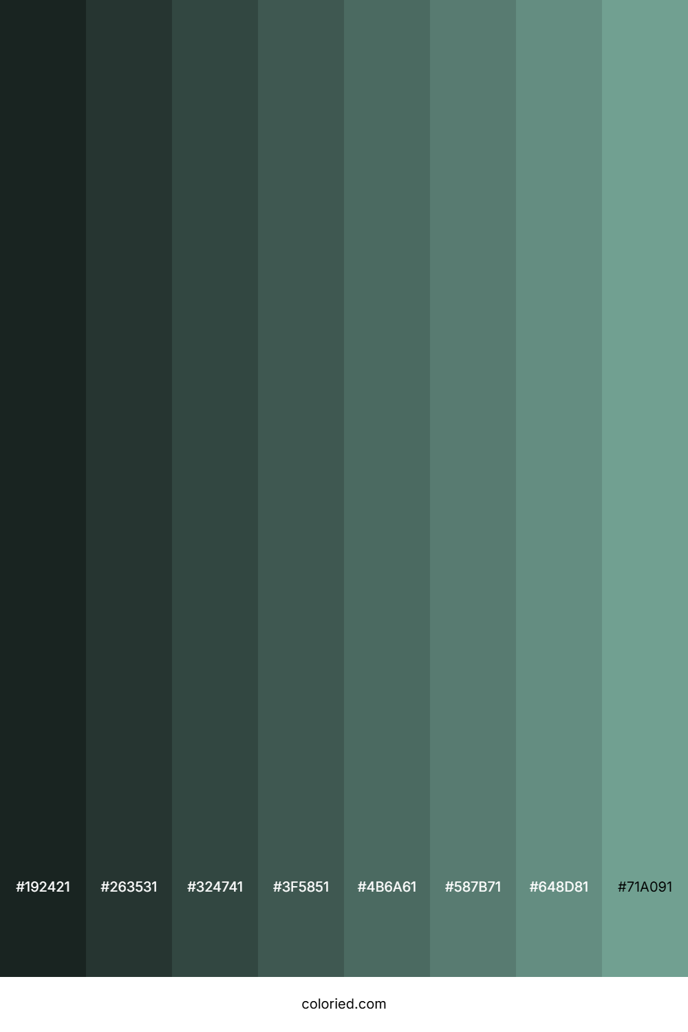 Greyish Teal Color Shades