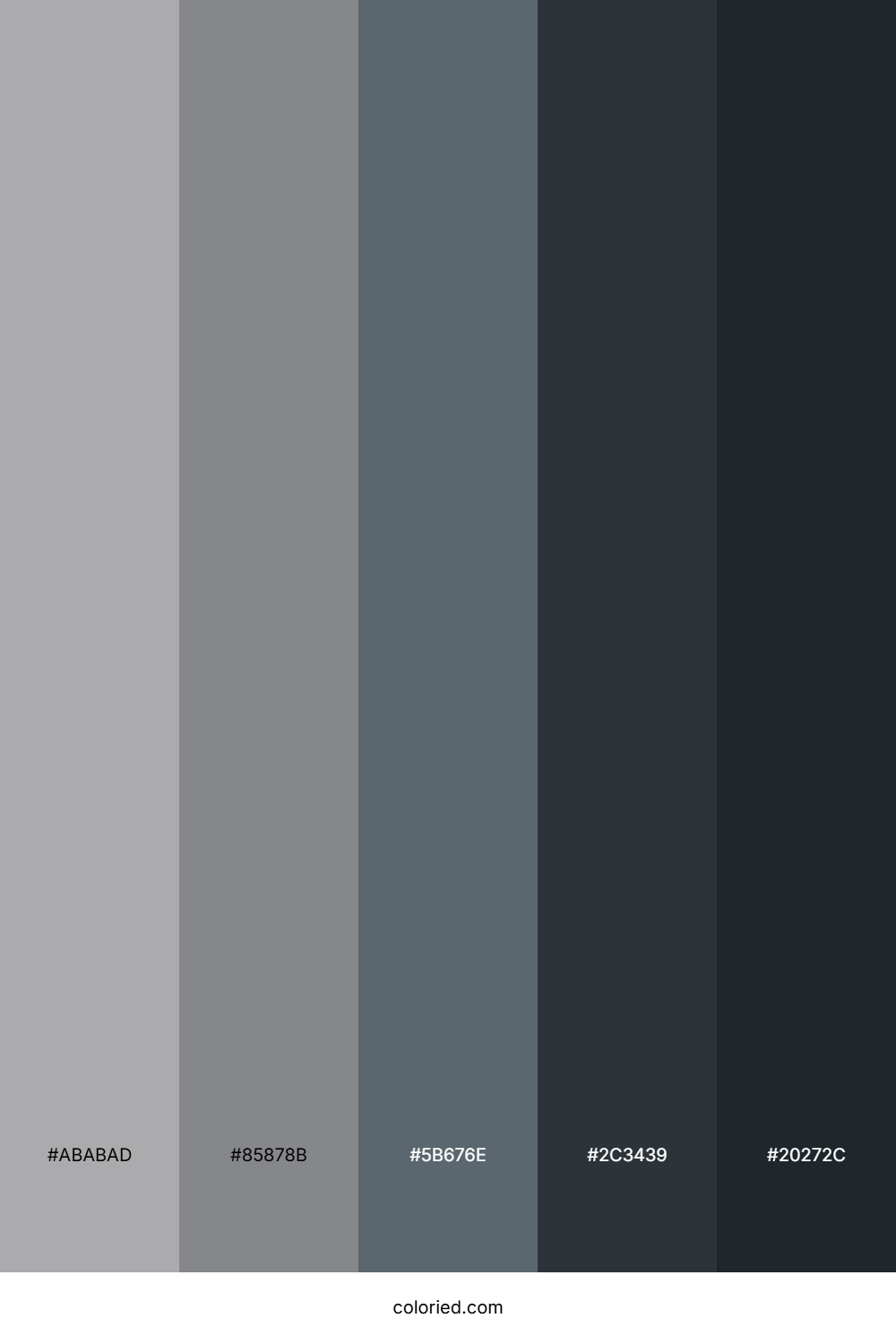 Gunmetal Gray and Slate Gray Color Palette