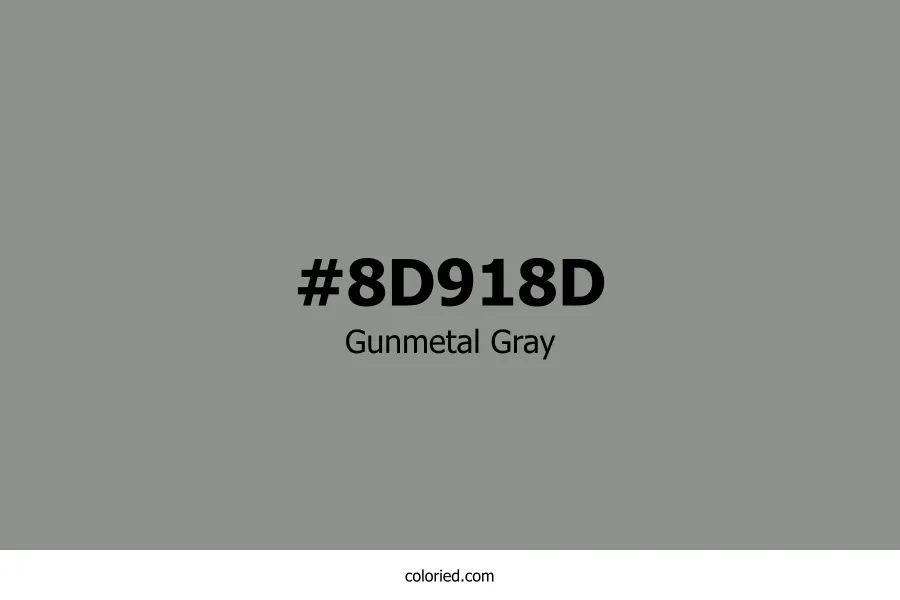 Gunmetal Gray Color Hex Code