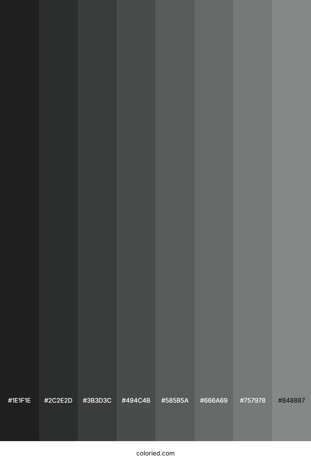 Gunsmoke Color Shades