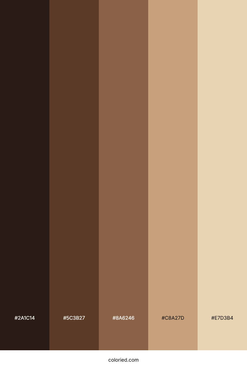 Hair Color Palette