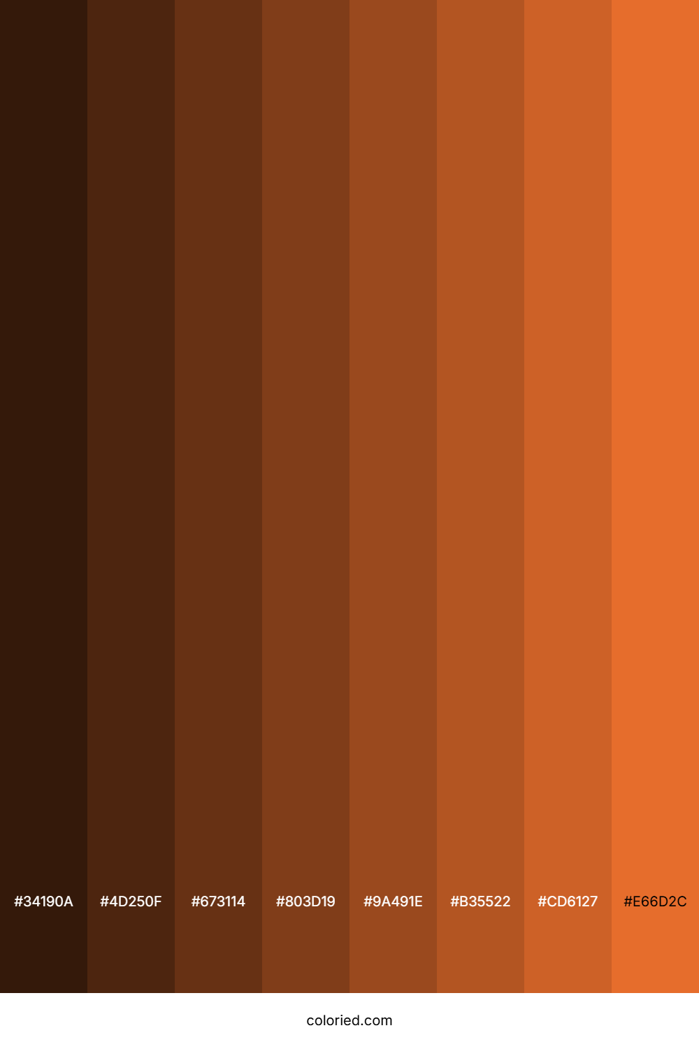 Halloween Orange Color Shades