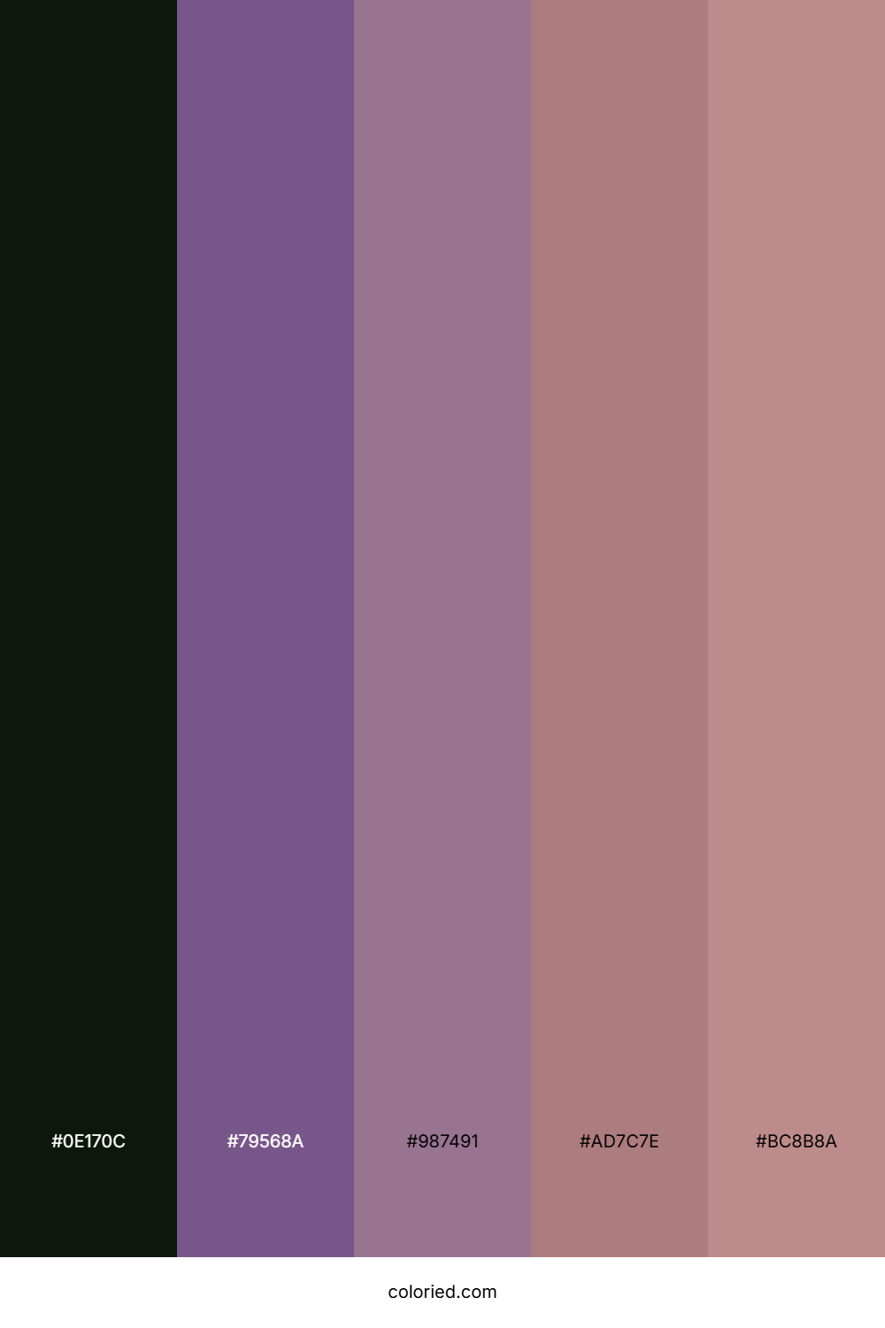 Haunted Rosewood Veil Palette