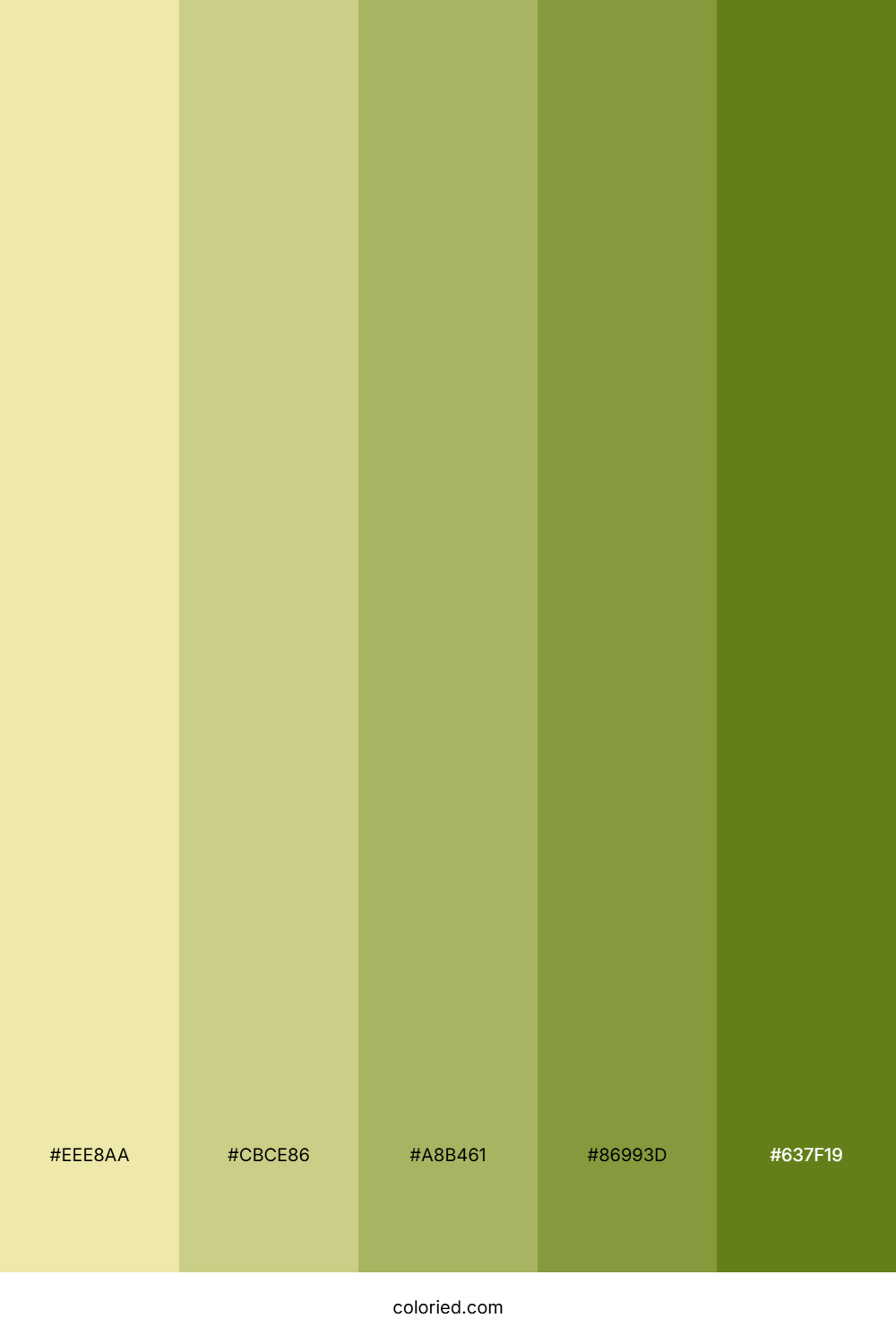 Hazel Eyes Color Palette