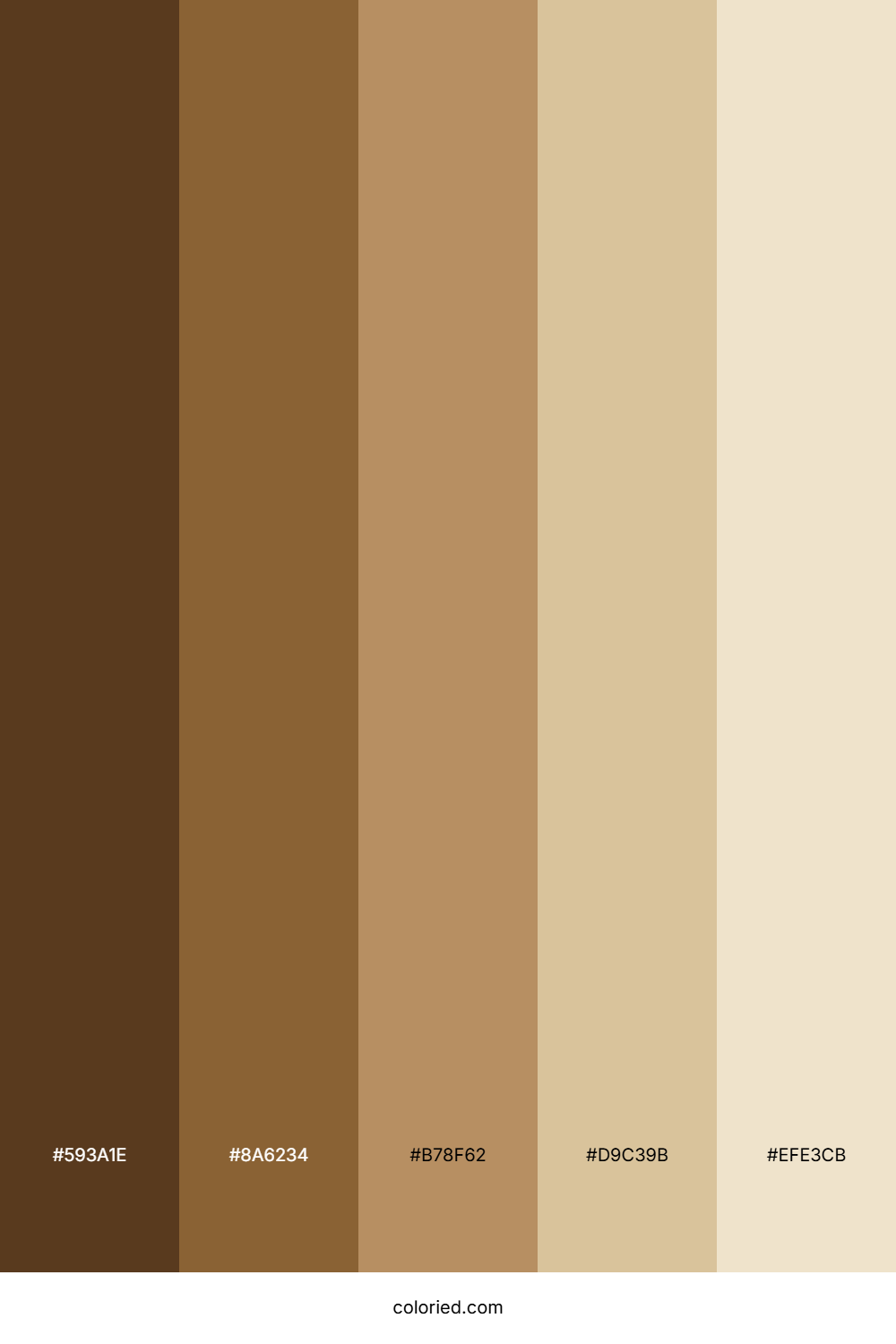 Hazel Nut Color Palette