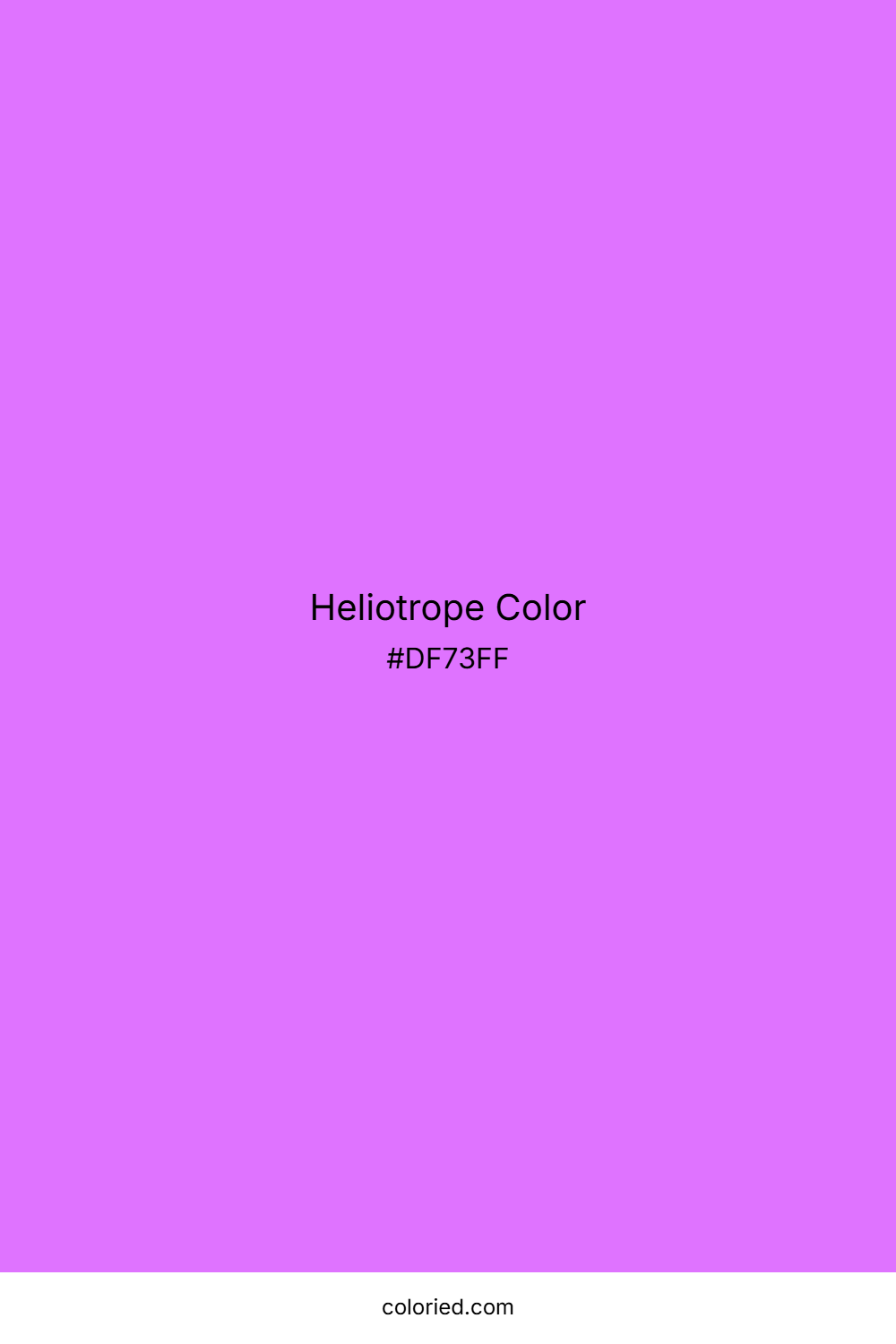 Heliotrope Color