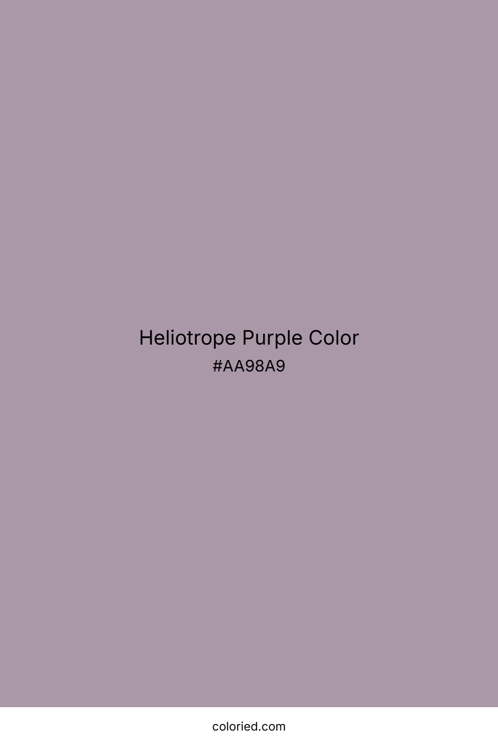 Heliotrope Purple Color