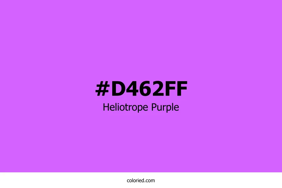 Heliotrope Purple Color