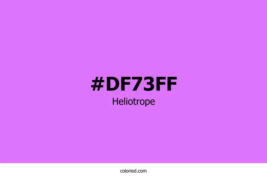 Heliotrope Color