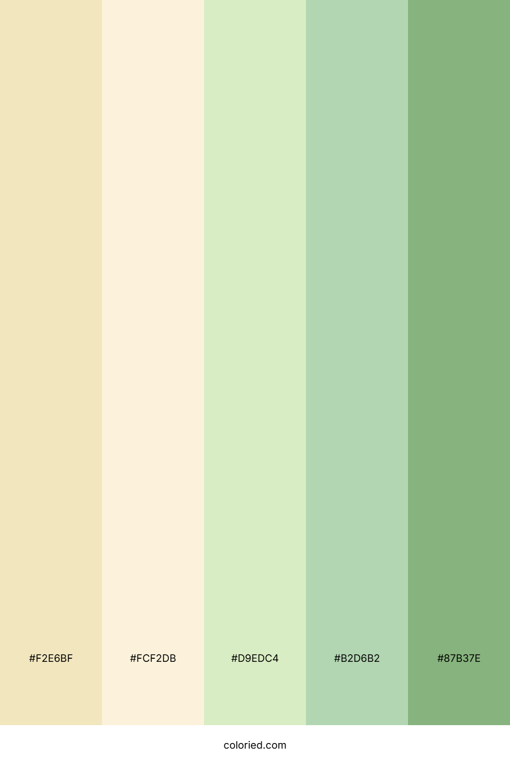 Herbal Tea Garden Color Palette