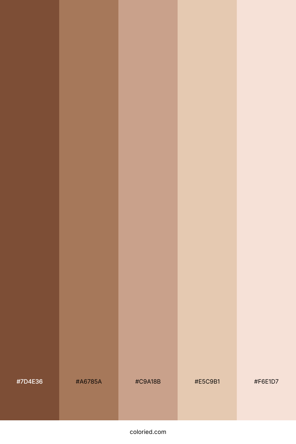 Hispanic Skin tones Color Palette