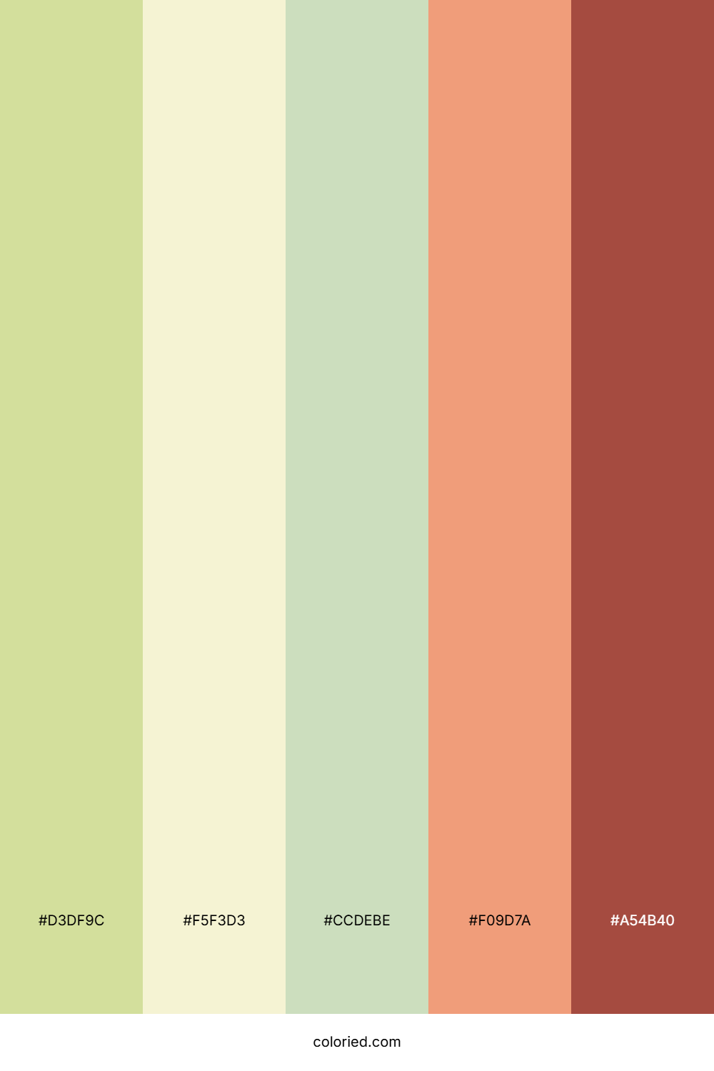 Holiday Sugar Cookie Color Palette