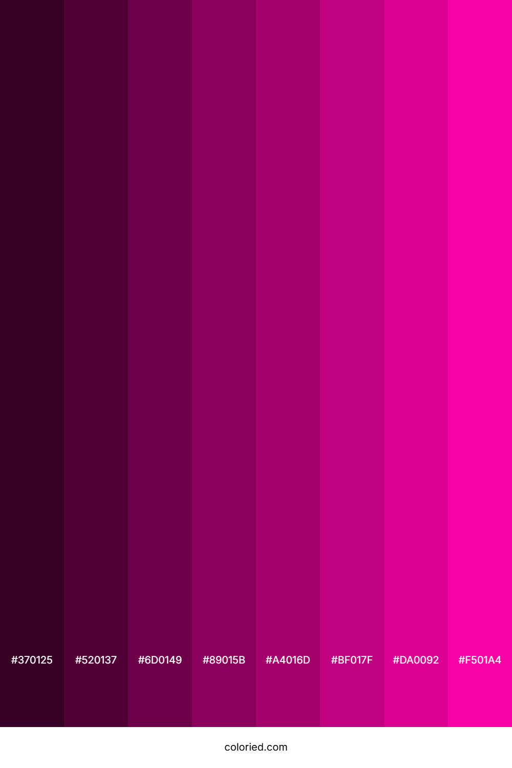 Hollywood Cerise Color Shades