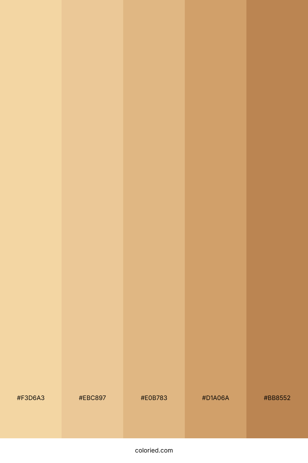 Honey Skin Color Palette