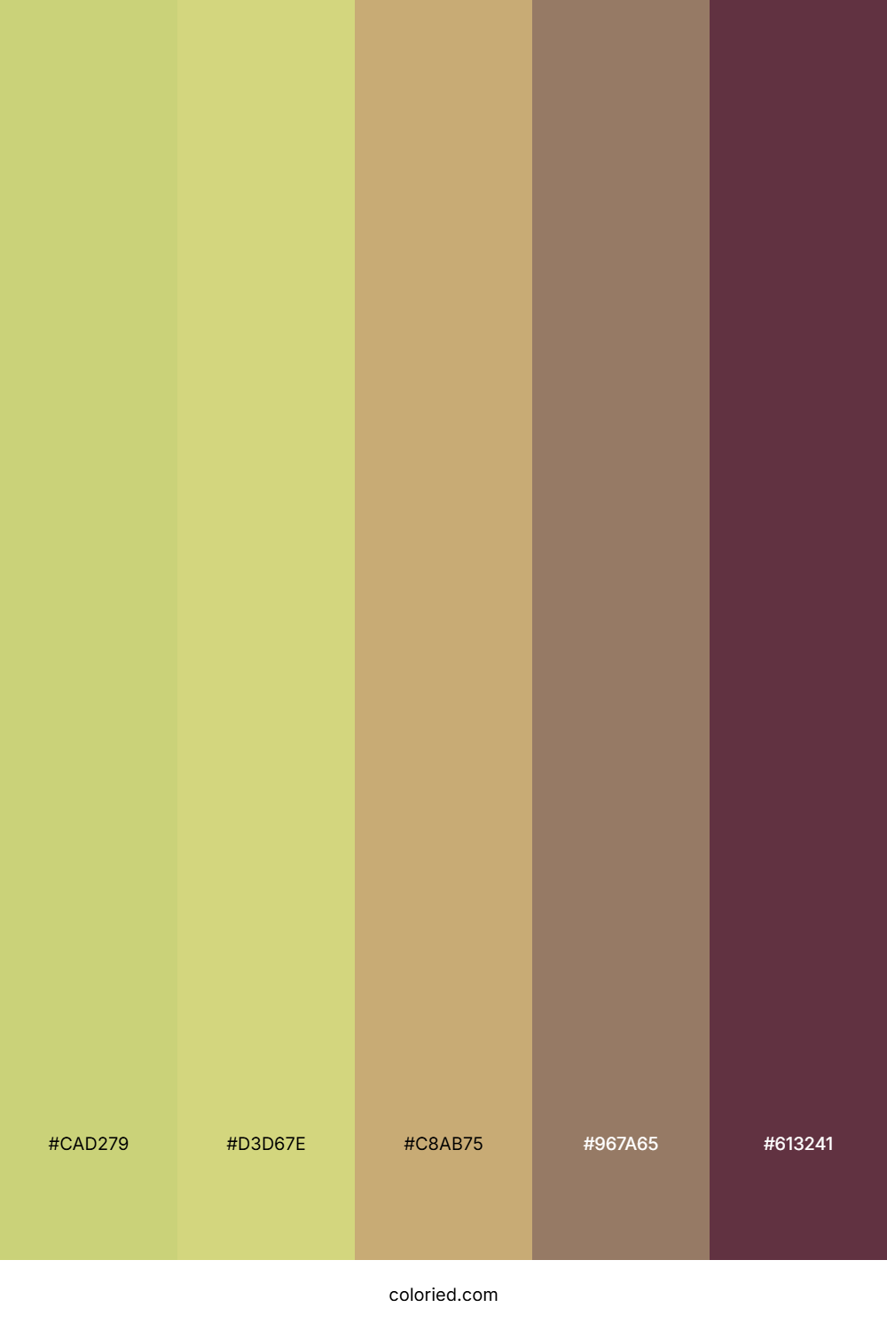 Honeyed Almond Grove Color Palette