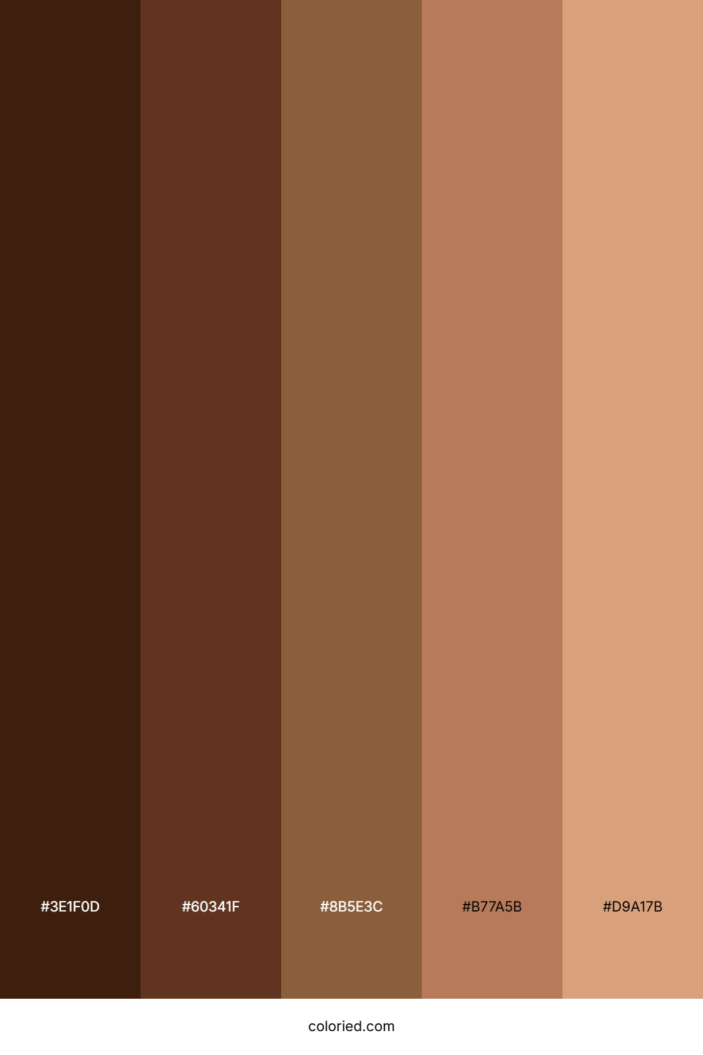 Hot Cocoa Color Palette