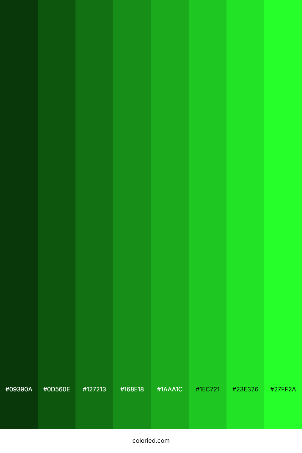 Hot Green Color Shades