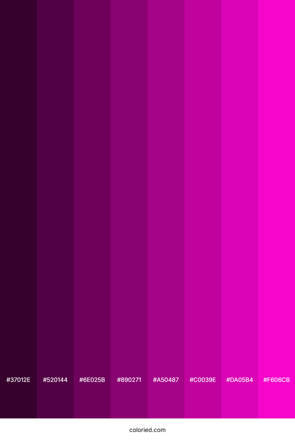 Hot Magenta Color Shades
