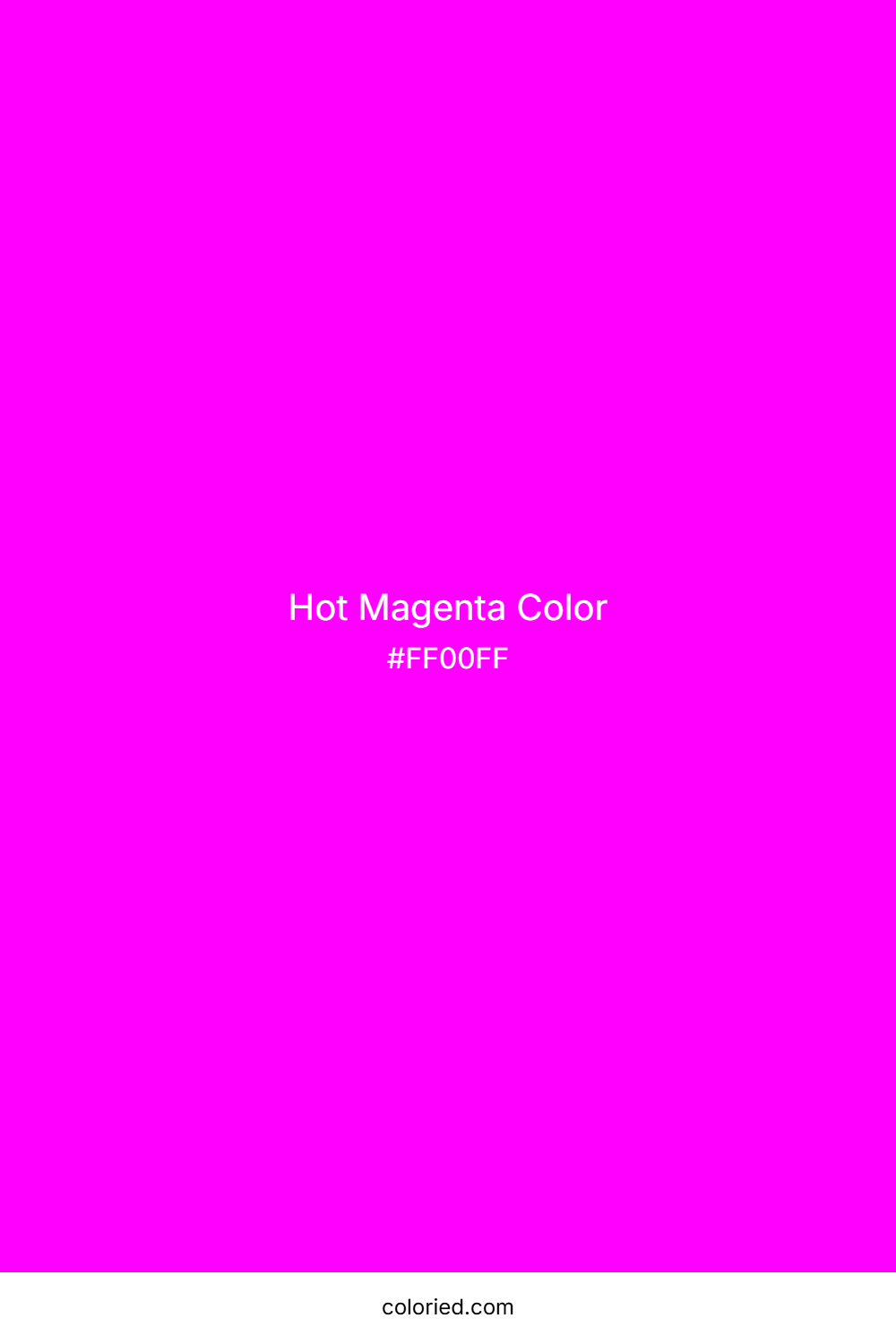 Hot Magenta Color