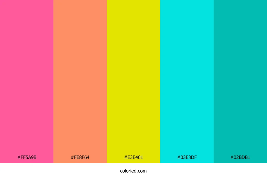 Hot Pink and Aqua Color Palette