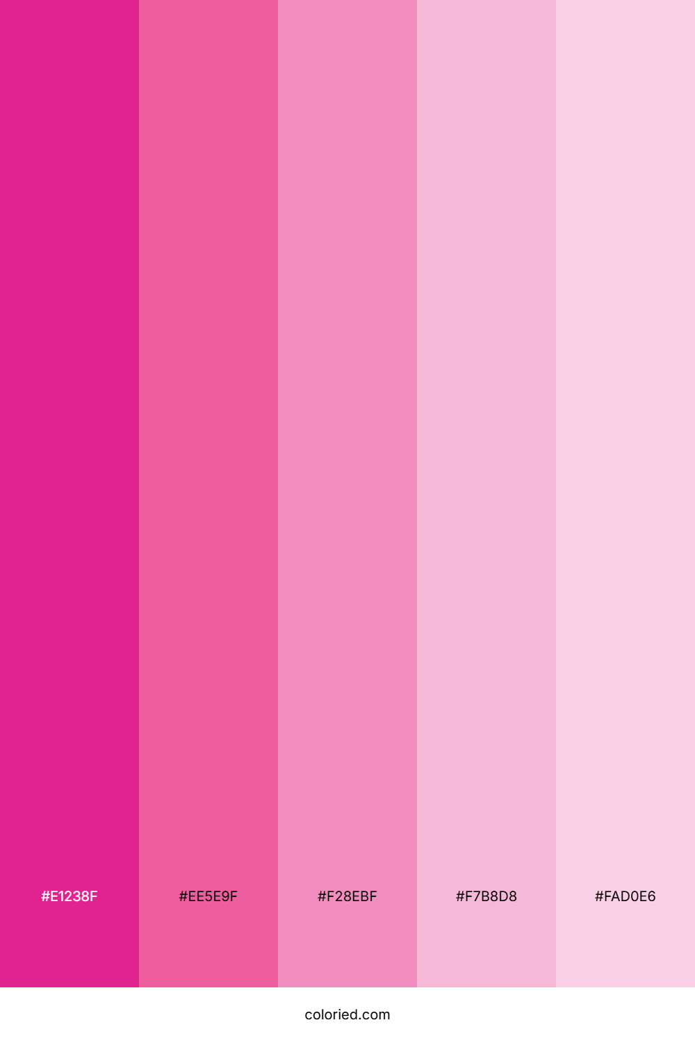 Hot Pink and Bubblegum Color Palette