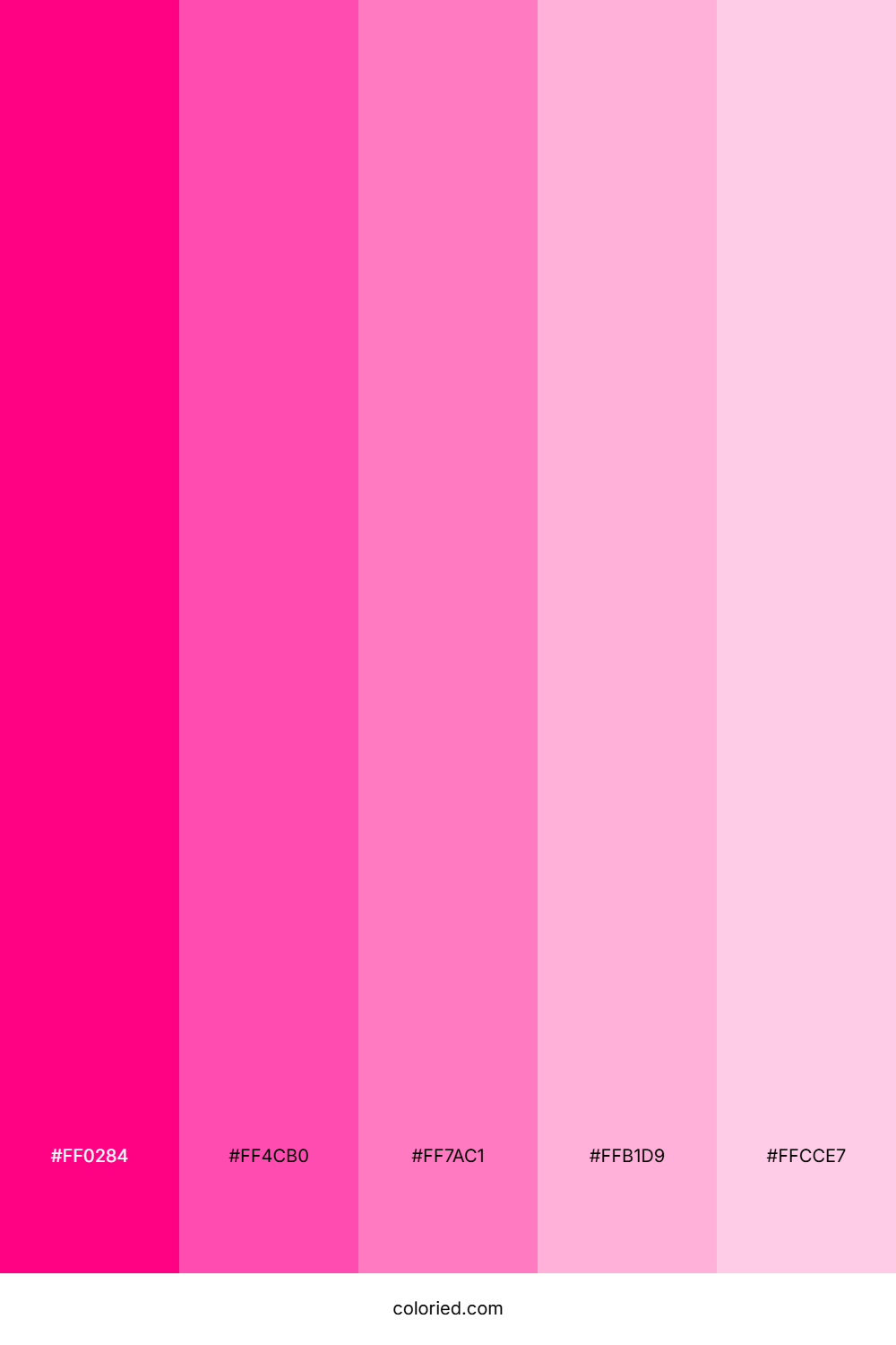 Hot Pink and Bubblegum Pink Color Palette