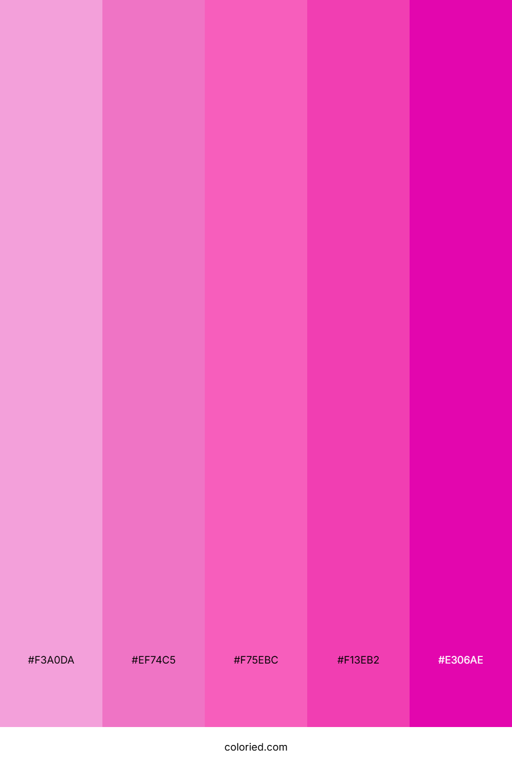 Hot Pink and Fuchsia Color Palette
