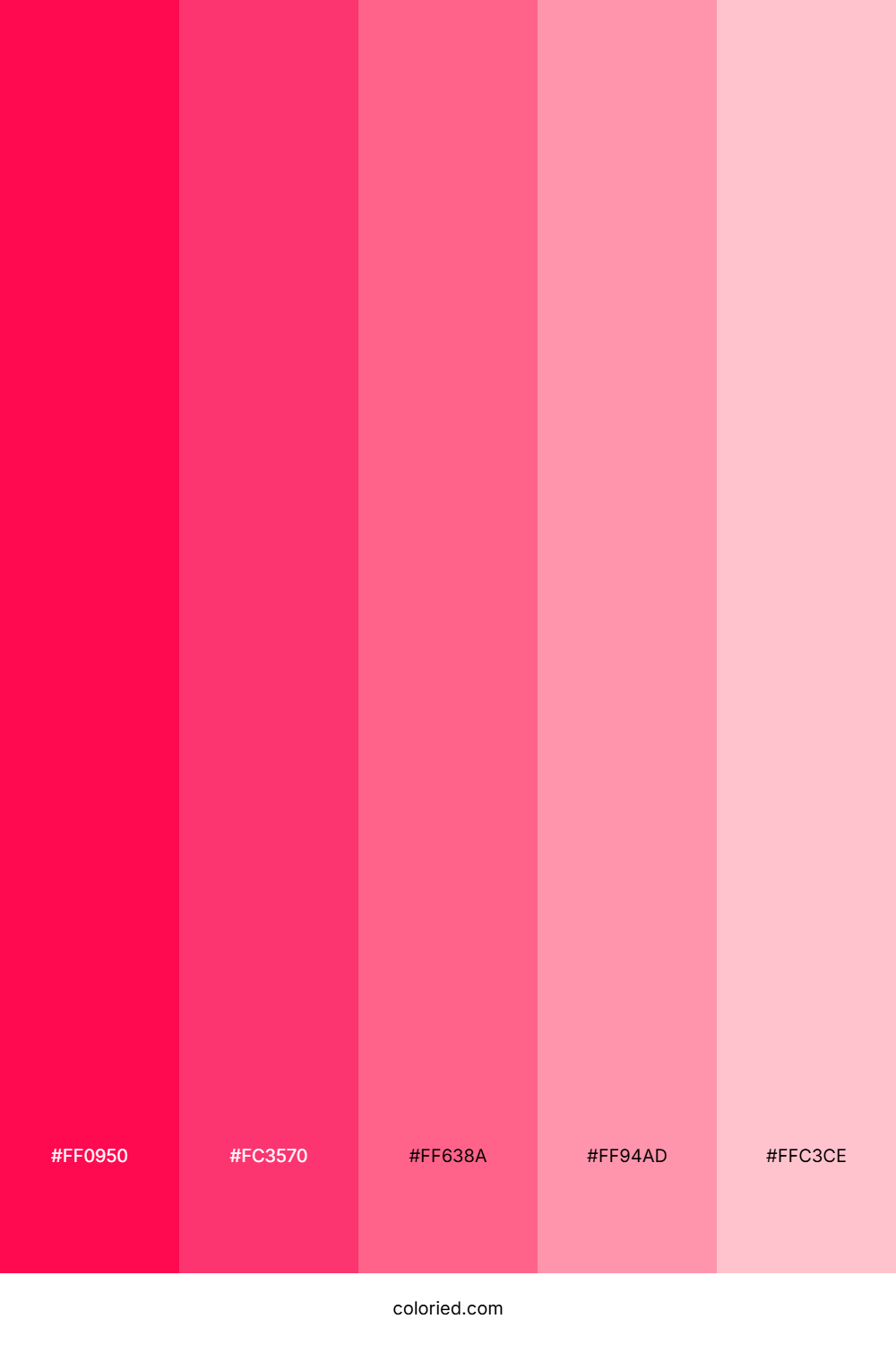 Hot Pink and Rose Color Palette