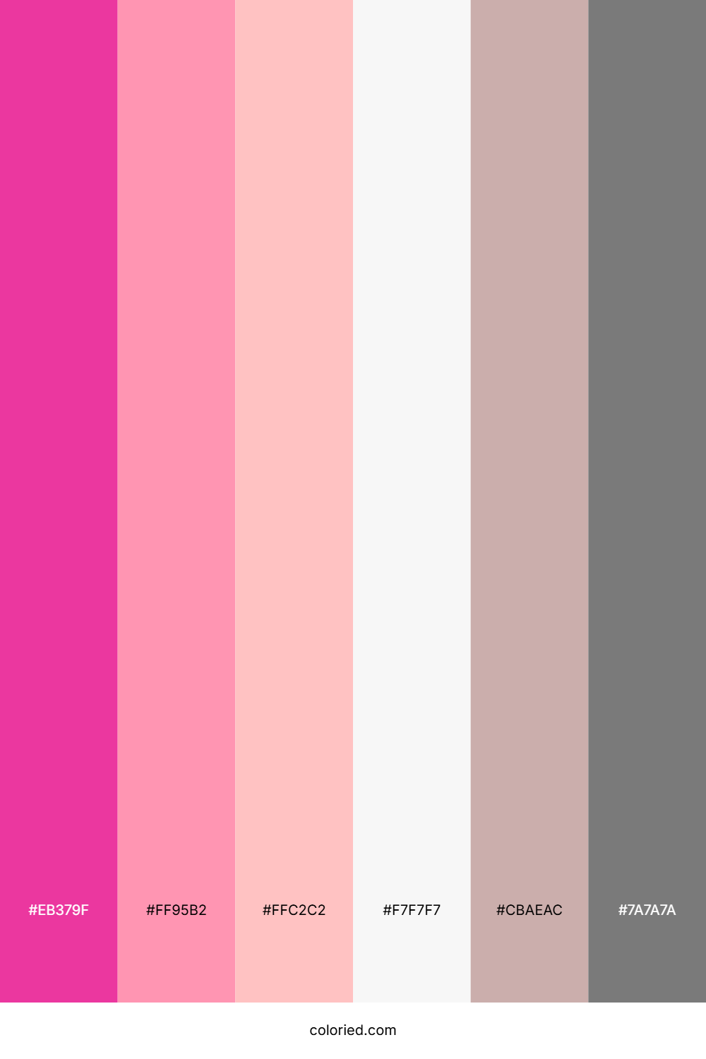 Hot Pink And Silver Color Palette