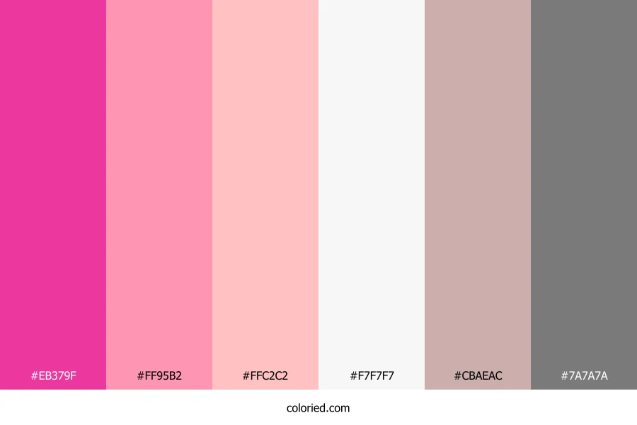 Hot Pink and Silver Color Palette