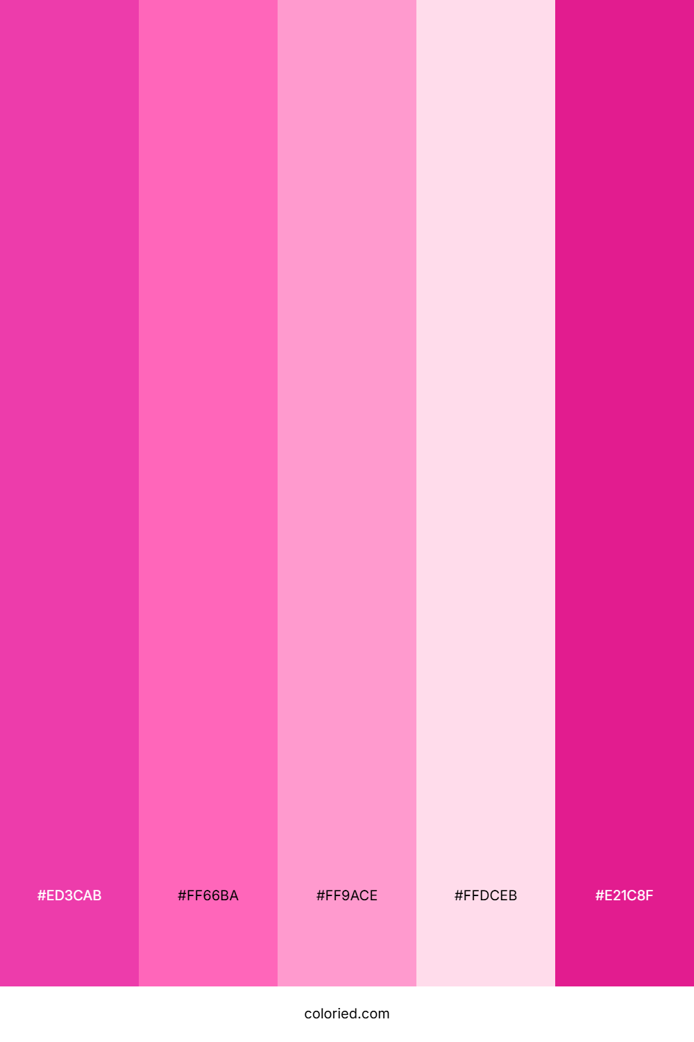 Hot Pink and Soft Magenta Color Palette