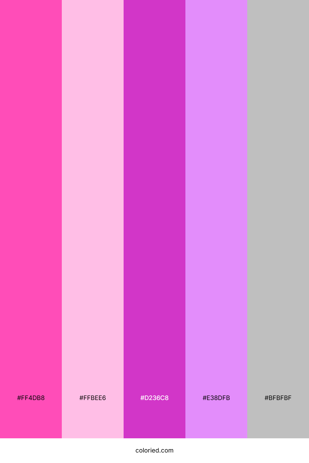 Hot Pink and Violet Color Palette