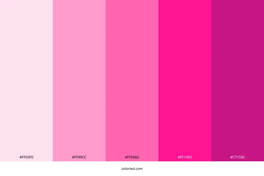 Hot Pink Color Palette